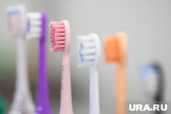 День появления зубной щетки празднуют 26 июня 2025 года