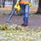 Курганских мэров собрали на масштабную учебу по наведению порядка. Инсайд