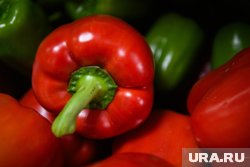 И перцам применение найдется