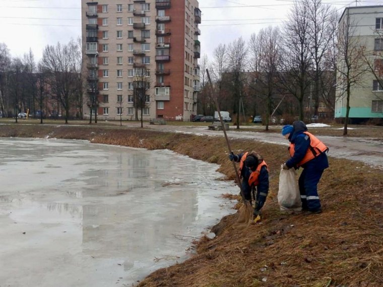 В рамках системы приема опасных отходов от населения, специалисты приняли свыше 12,6 тонн различных отходов