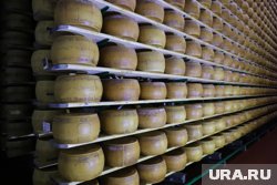 Новинку ямальцы смогут попробовать уже в ноябре