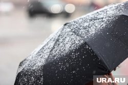 В Москве ожидается первый снег
