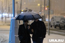 Мокрый снег будет сопровождаться сильным ветром