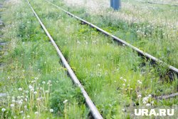 Линию передают вместе с землей (архивное фото)