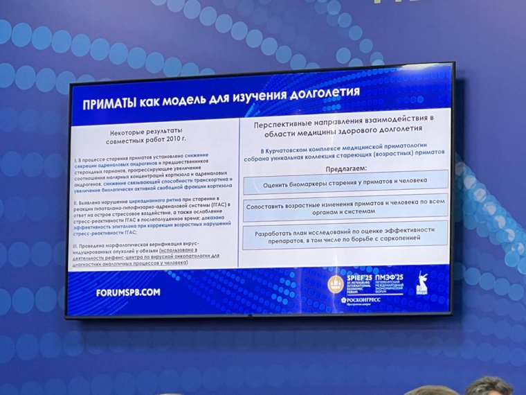 В России изучают пожилых приматов, как пример долголетия