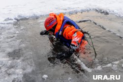 Поиски длились несколько дней