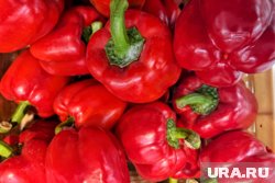 В болгарском перце обнаружили вирус коричневой морщинистости плодов томата (архивное фото)