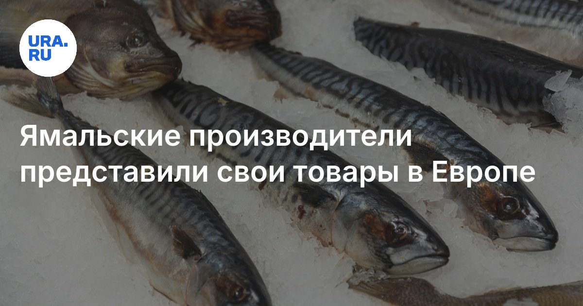 Ямальские производители рыбной продукции пытаются пробиться на ...