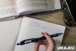 В ГД предложили отменить домашнее задание в школах Новосибирской области
