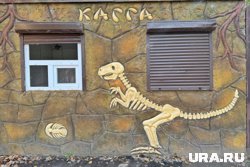 На месте бывшего дино-парка в Кургане реализуют новые проекты