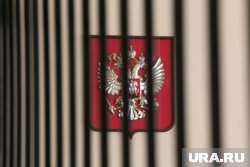 Югорчанка хотела заказать киллеру свою знакомую
