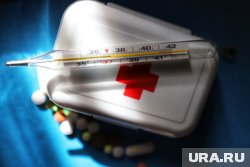 Главным признаком заболевания лихорадкой чикунгунья является высокая температура