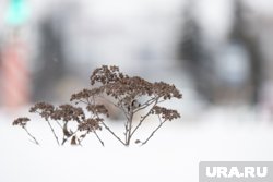 В Югре на следующей неделе ожидается потепление