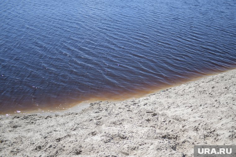 Тело без признаков жизни из воды вытащили очевидцы