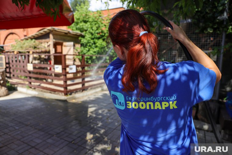 Зоопарк готов рассматривать новые площадки для расширения, но это не зона ответственности руководства учреждения