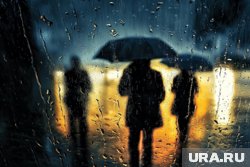 Дождливая и прохладная погода в Шадринске задержится на 10 дней
