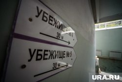 Найти ближайшее убежище можно в сервисе тюменских властей