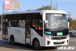 Курганские власти показали новые автобусные маршруты