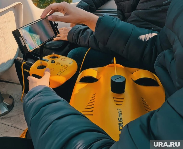 Флора и фауна озер уникальна 