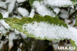 Якутия встретит первые снегопады в выходные