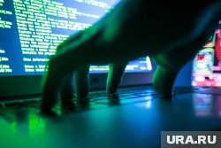 Мошенники могут имитировать сайты авиакомпаний, отелей и детских лагерей, сообщила Михайлова