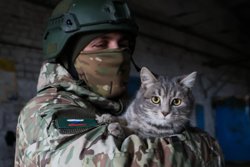 Кот Сержант полноправный боец батальона имени Судоплатова (на фото другой кот)