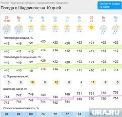 В Шадринске ожидаются сильные ветра