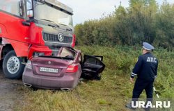 Легковушка ехала по встречке