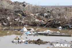 Ликвидации свалки предшествовали долгие судебные процессы с местными властями 