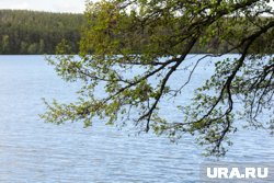 Курганцы не могут попасть на Митинское водохранилище
