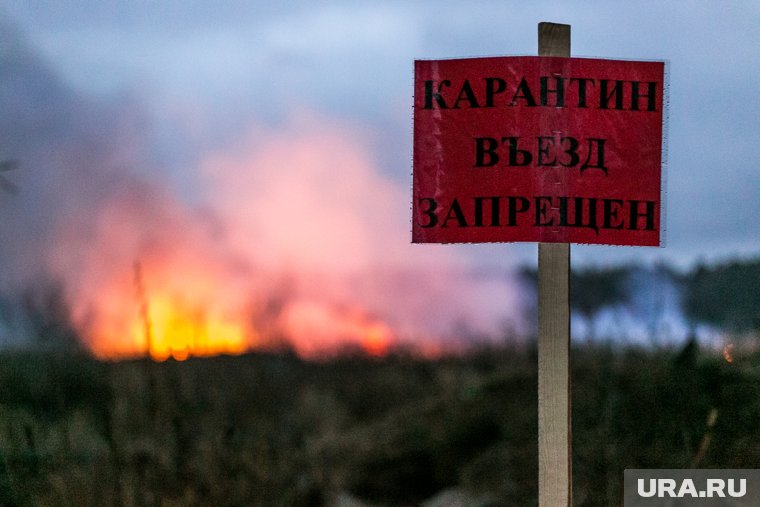 На территории действуют ограничительные мероприятия до особого распоряжения