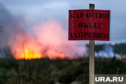 На территории действуют ограничительные мероприятия до особого распоряжения