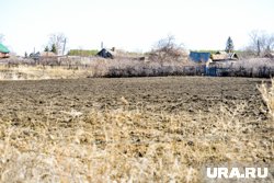 Площадь земельного участка составила 24,1 га (архивное фото)