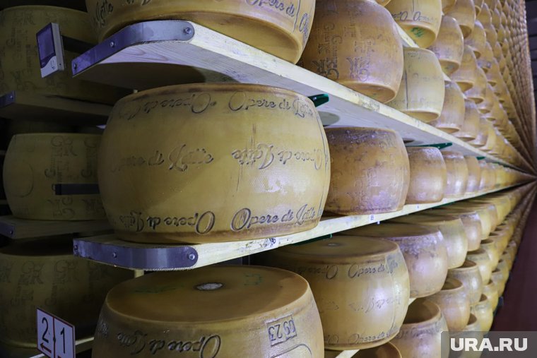 Дети с родителями могут отправиться на сыроварню в Чебаркуль 