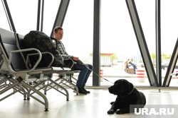 Аэровокзал в Минводах сможет  обслуживать до трех тысяч пассажиров в час