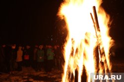 Если болезнь является заразной, то лучше сжечь пораженные плоды растений