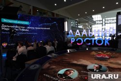 Важно обеспечить развитие ДФО ресурсами, включая энергетические, отметил Путин