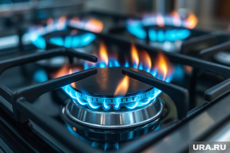 К 2026 году в России ожидается увеличение стоимости газа
