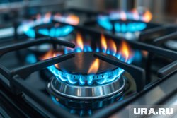 К 2026 году в России ожидается увеличение стоимости газа