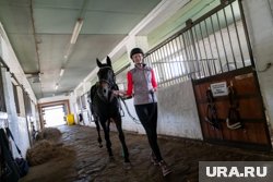 Занятия проводят на Конноспортивном комплексе в поселке Ферма