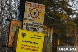 Всего обработают 289,14 гектара территорий