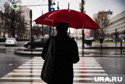 Без зонта в выходные из дома лучше не выходить