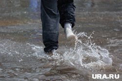 Дожди в Кургане будут идти почти каждый день