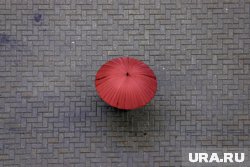 В Перми ожидается дождь