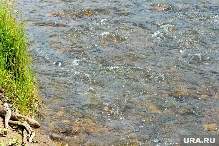 Тело девочки нашли в водоеме