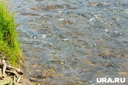 Тело девочки нашли в водоеме