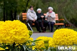Пенсионерам, достигшим 80-летнего возраста, повысят выплаты