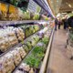 Где в Екатеринбурге выгоднее закупить продукты на новогодний стол