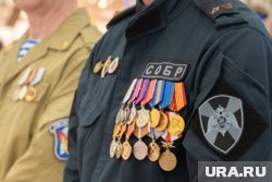 После первого этапа семь ветеранов СВО уже трудоустроились в госслужбу