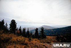 В Красноярском крае более 200 человек ищут пропавшую семью